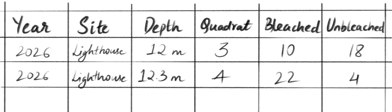 Handwritten data sheet with columns for year, site, depth, quadrat, bleached and unbleached