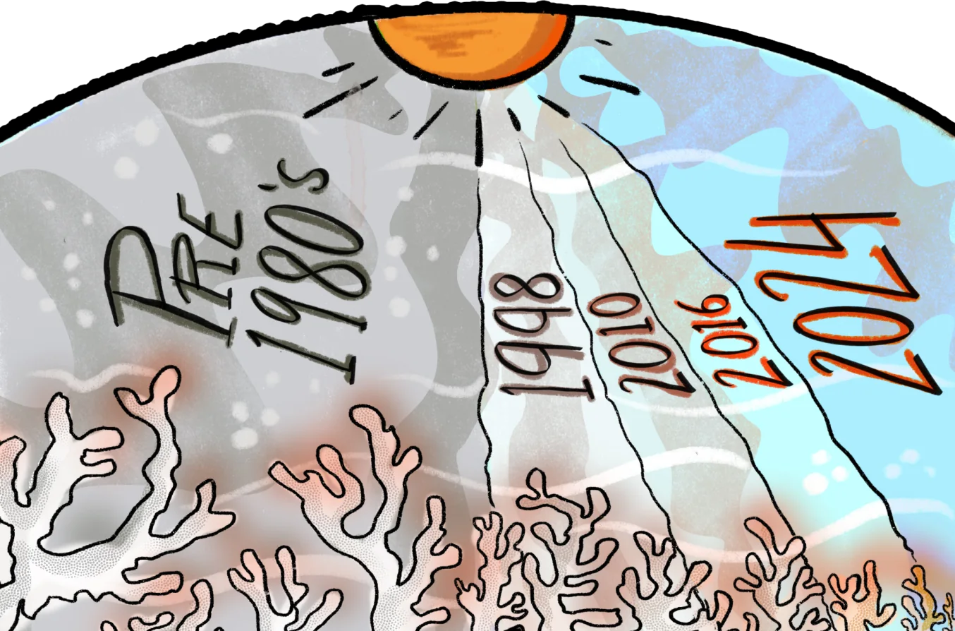 Illustration of a reef under the sun, marked with the years of mass bleaching: pre-1980s, 1998, 2010, 2016 and 2024, with corals increasingly bleached