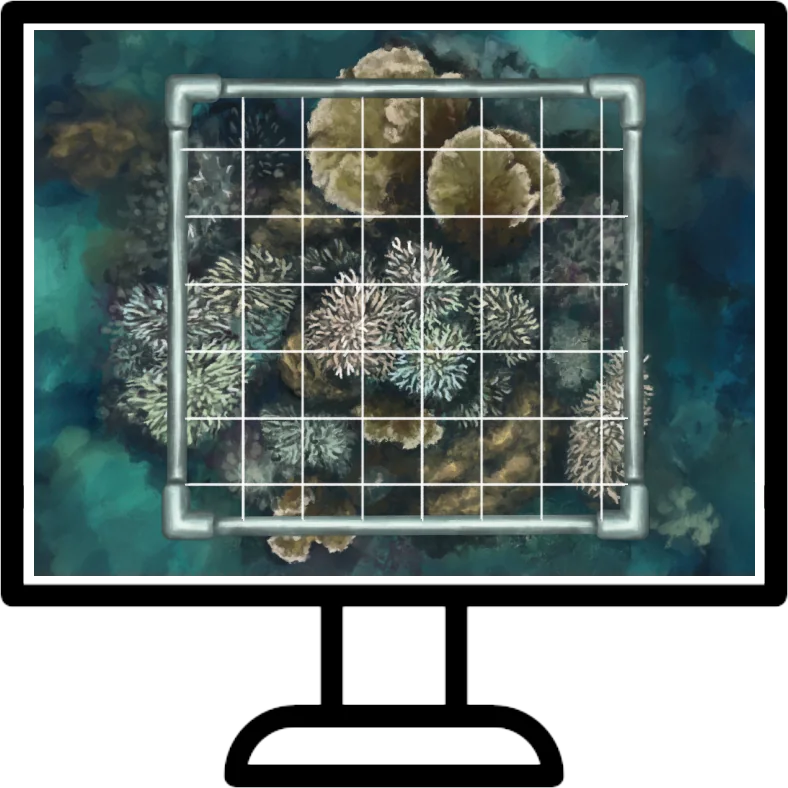 Illustration of a computer screen showing an underwater photo of corals under a gridded quadrat