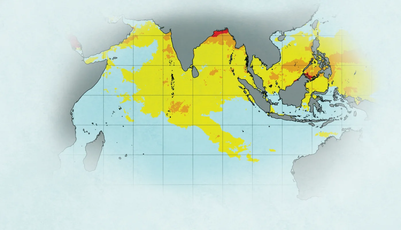 Satellite map of sea surface heat stress across the Indian Ocean, with warm areas shown in yellow, orange and red